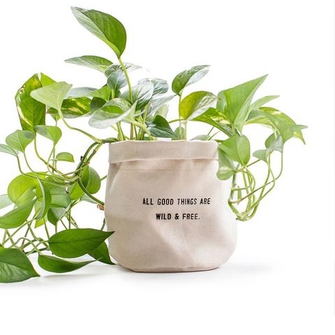 Canvas Planter - All Good Things Are Wild & Free